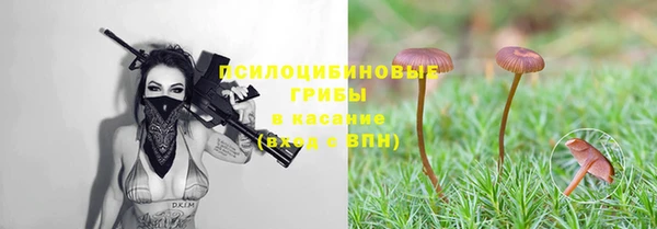 твердый Баксан