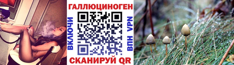 Псилоцибиновые грибы MAGIC MUSHROOMS  наркошоп  Балей 